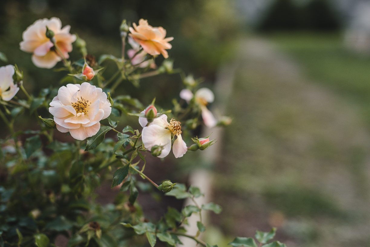 Mon sujet préféré à photographier